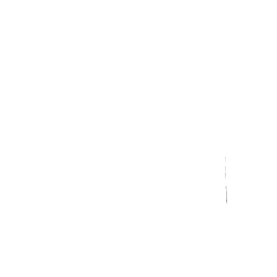 Laser scanners and processing software